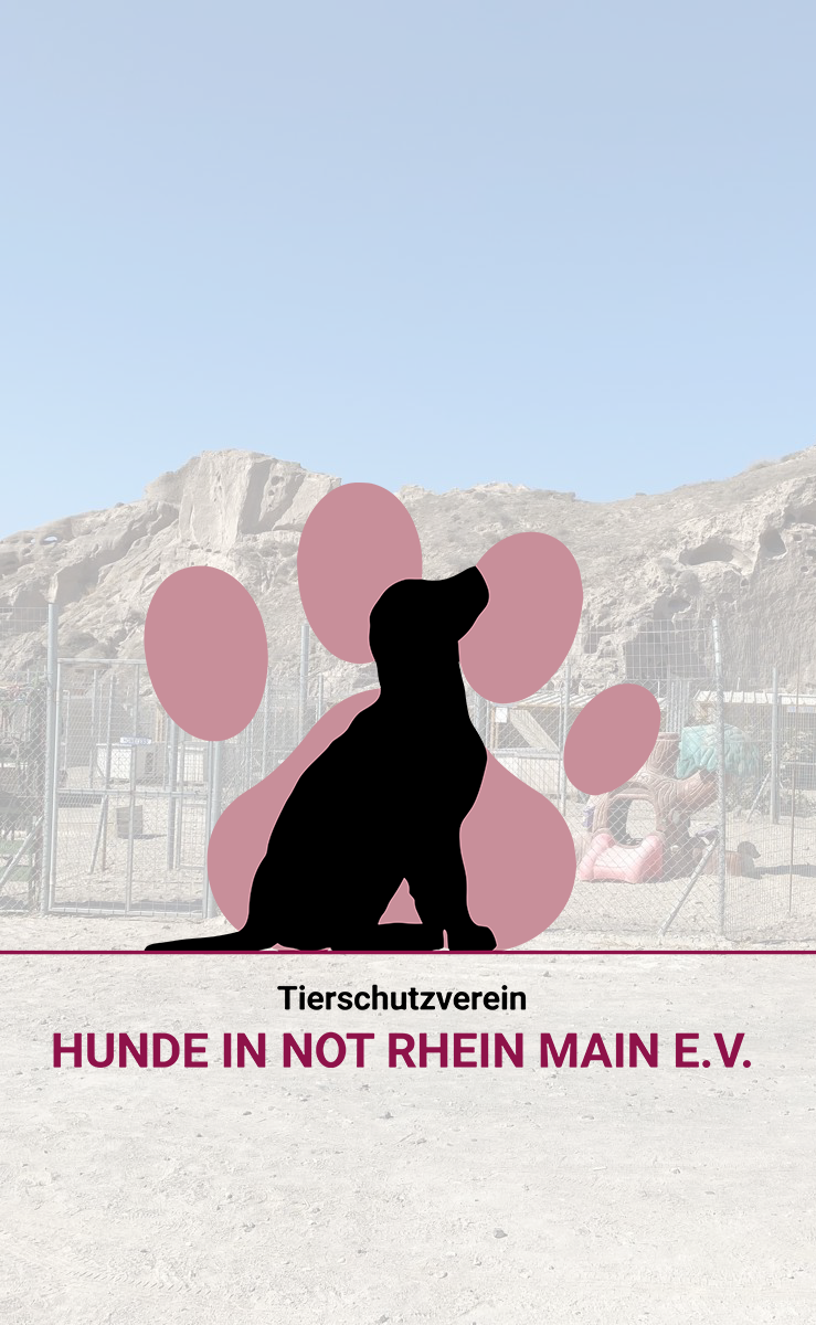 hunde in not Rhein main gebiet Frankfurt und bad Vilbel tierschutzverein